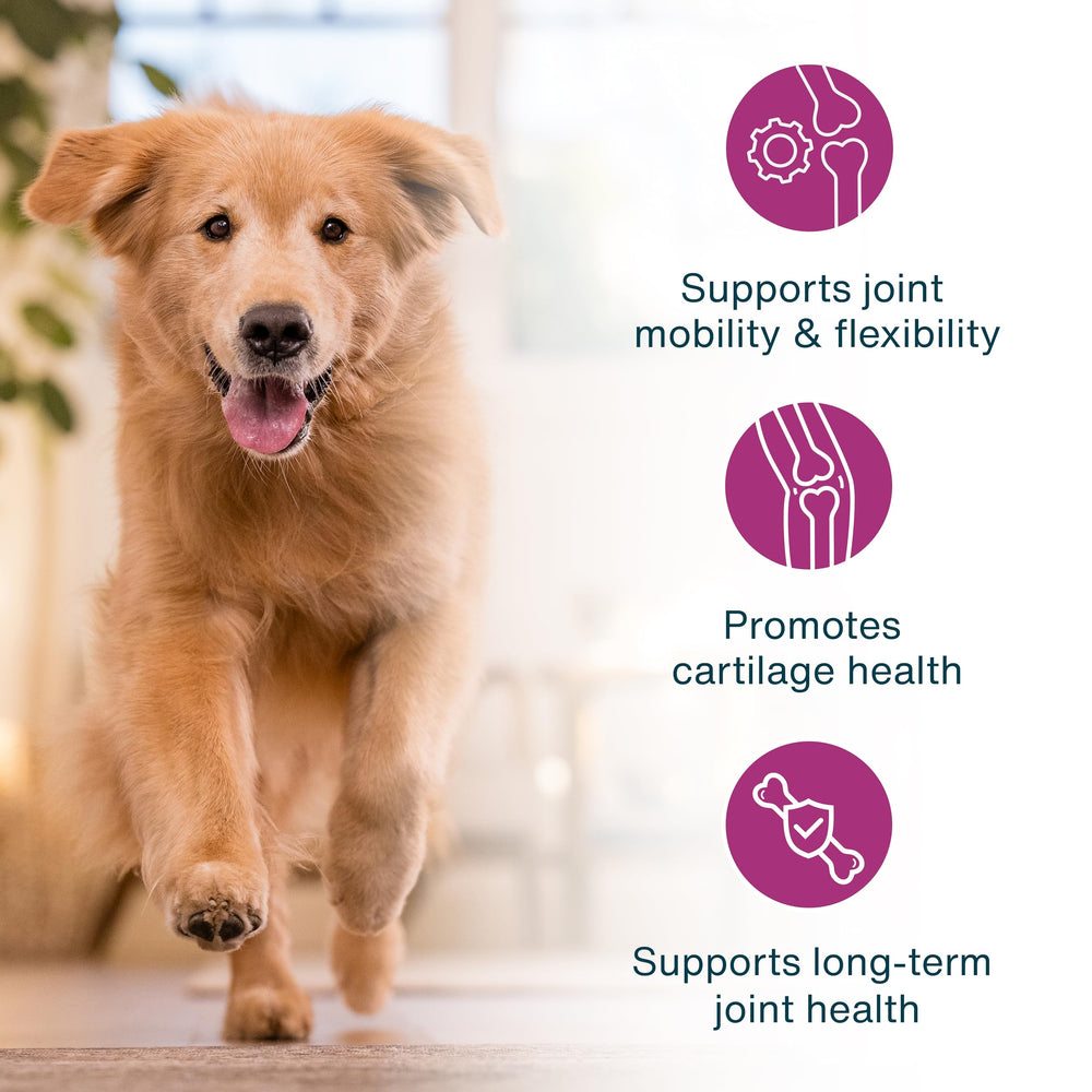 JustFoodForDogs JustFresh Boost glucosamine-bone-broth-topper emphasizes joint support and flavor