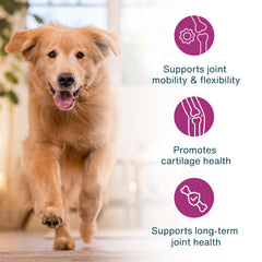 JustFoodForDogs JustFresh Boost glucosamine-bone-broth-topper emphasizes joint support and flavor