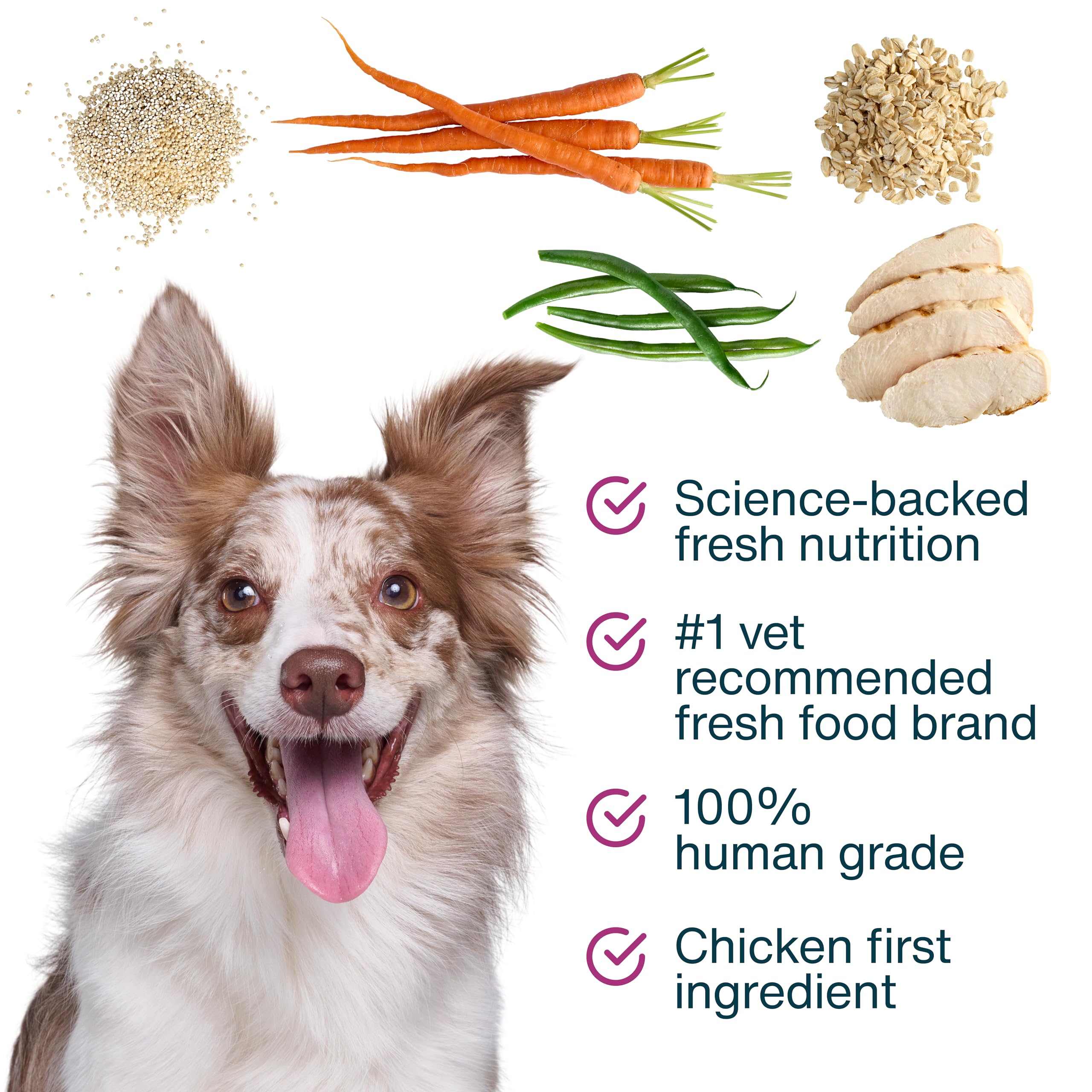 JustFoodForDogs JustFresh Boost 100-percent-human-grade-topper uses fresh ingredients for top nutrition