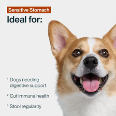 JustFoodForDogs JustFresh Boost pumpkin-oats closeup, showing natural fiber.