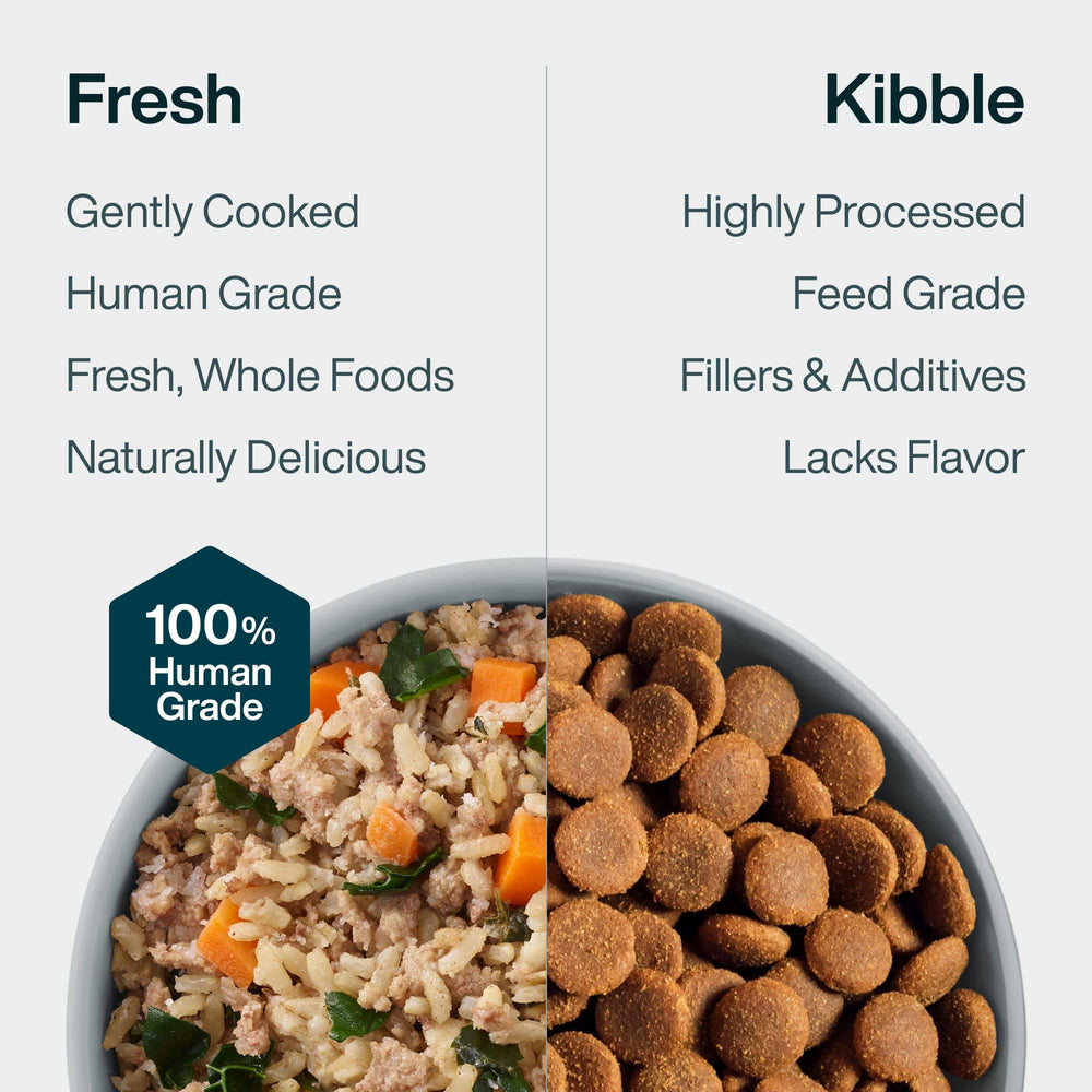 JustFoodForDogs JustFresh full meal option for convenient feeding.