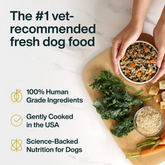 JustFoodForDogs JustFresh serving bowl shows fresh turkey meal ready to delight a dog at mealtime.