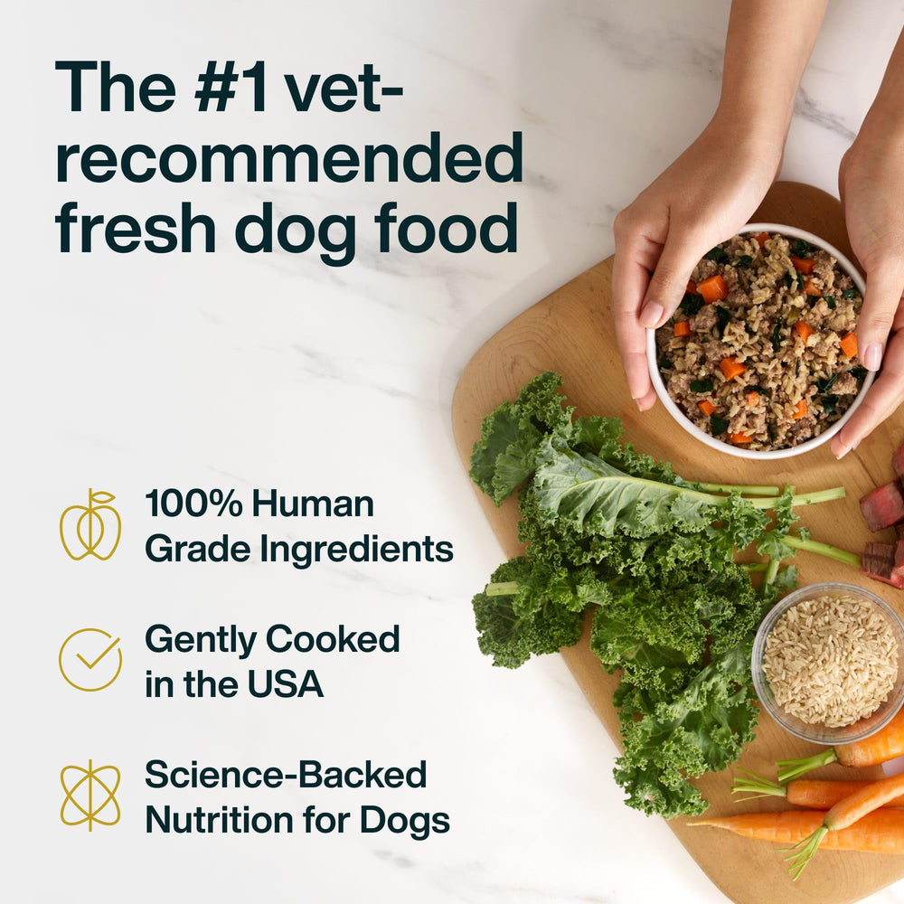 JustFoodForDogs JustFresh chicken wet dog food pouch for balanced nutrition.