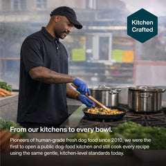 JustFoodForDogs JustFresh pork wet dog food pouch for wholesome flavor.