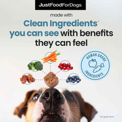 JustFoodForDogs magnesium-melatonin dog supplement close-up for calmer moments.