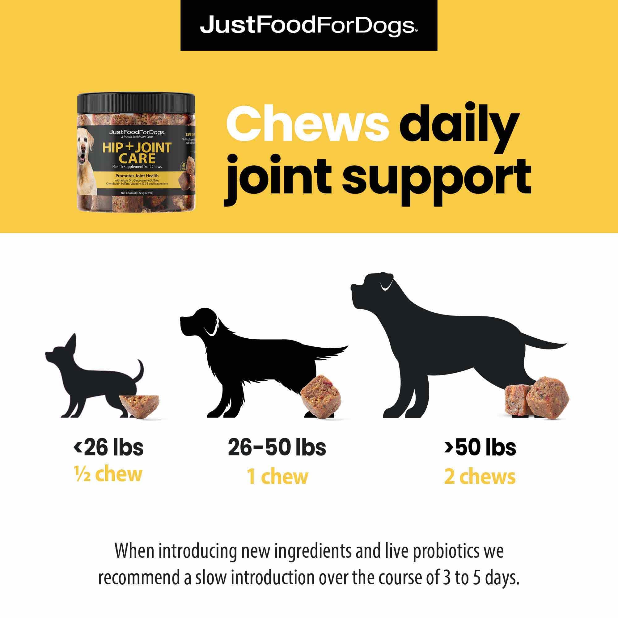 JustFoodForDogs dog enjoys a walk with improved mobility from daily bites.