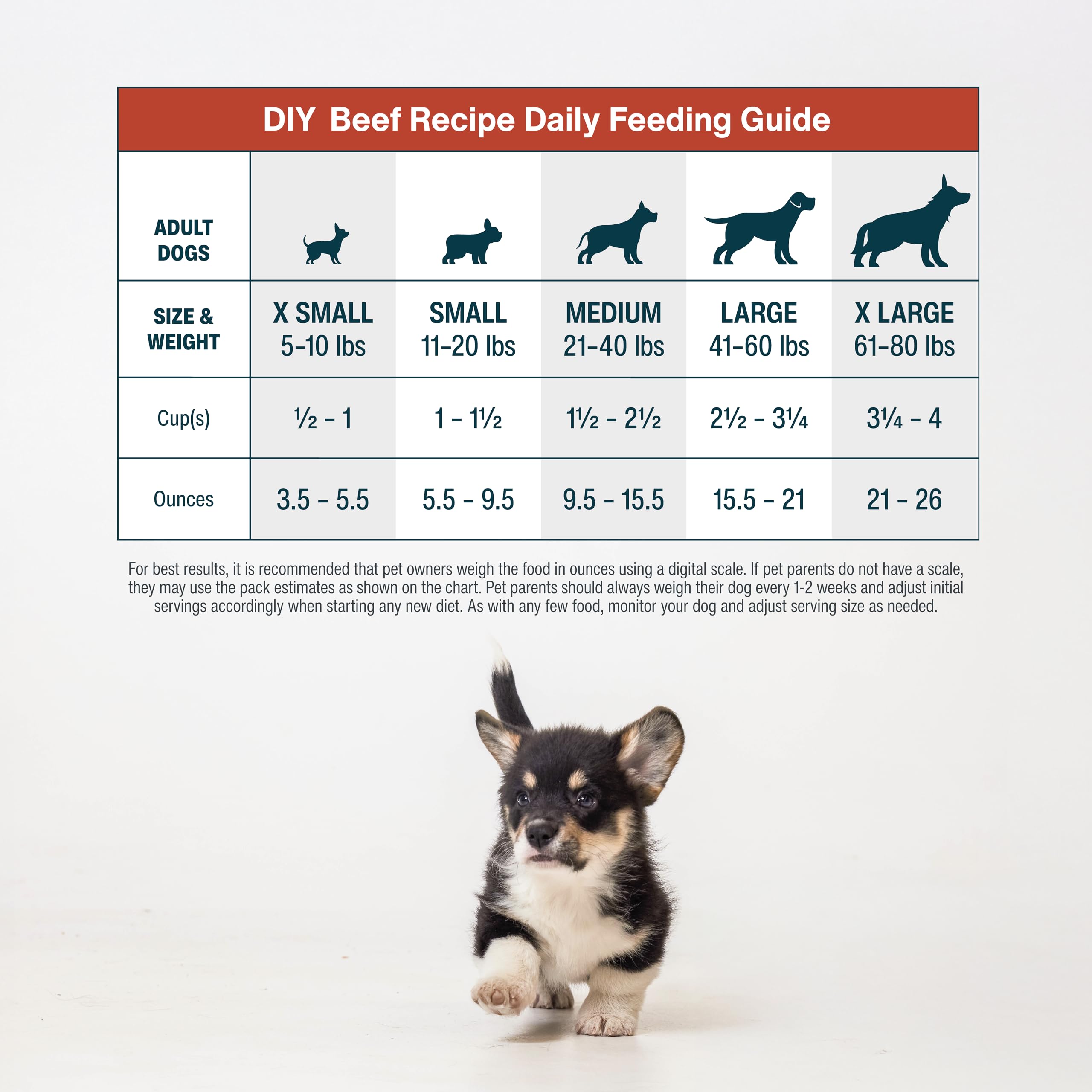 JustFoodForDogs Nutrient Blend cooking guide in use for DIY dog meals