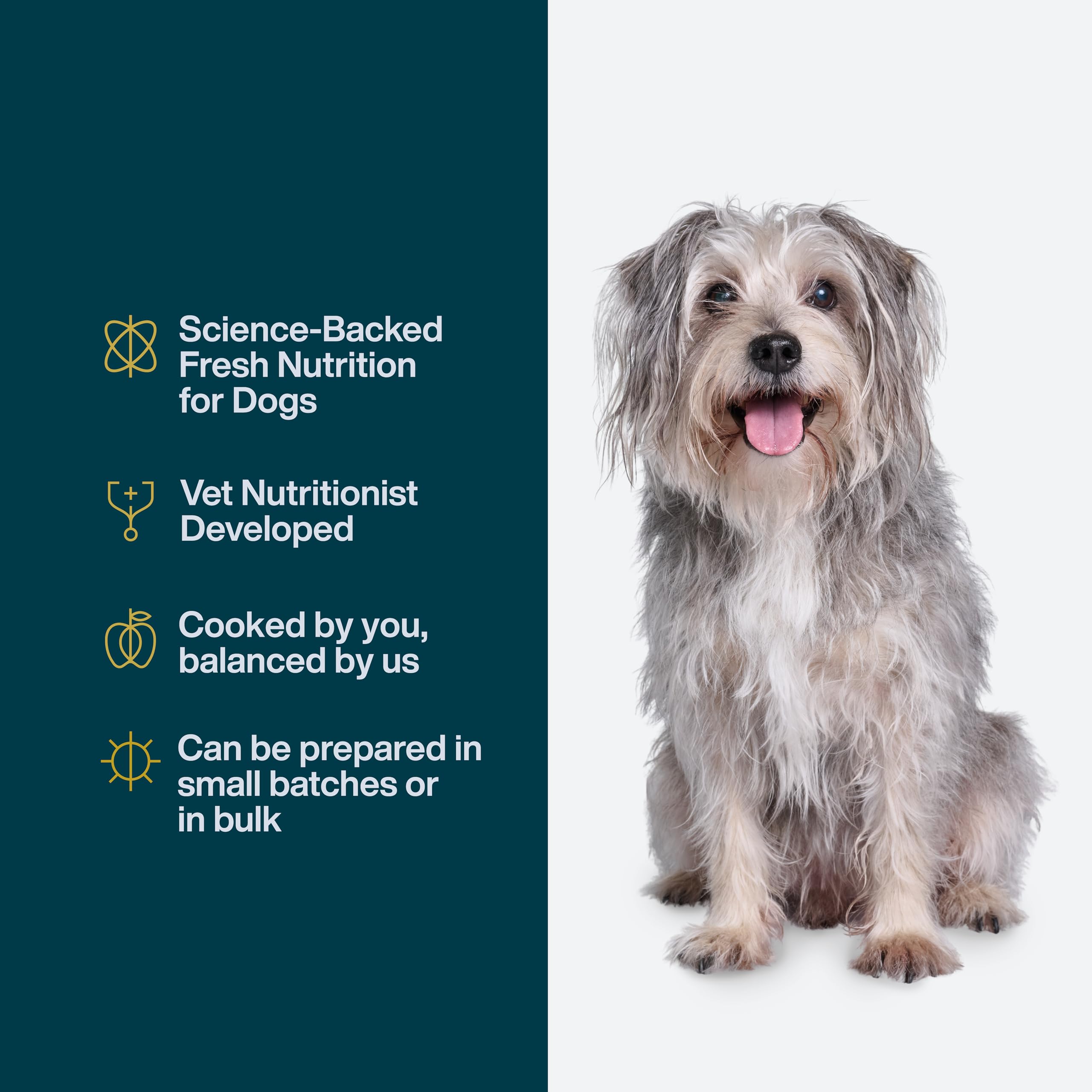 JustFoodForDogs cooking guide included for balanced, homemade dog meals