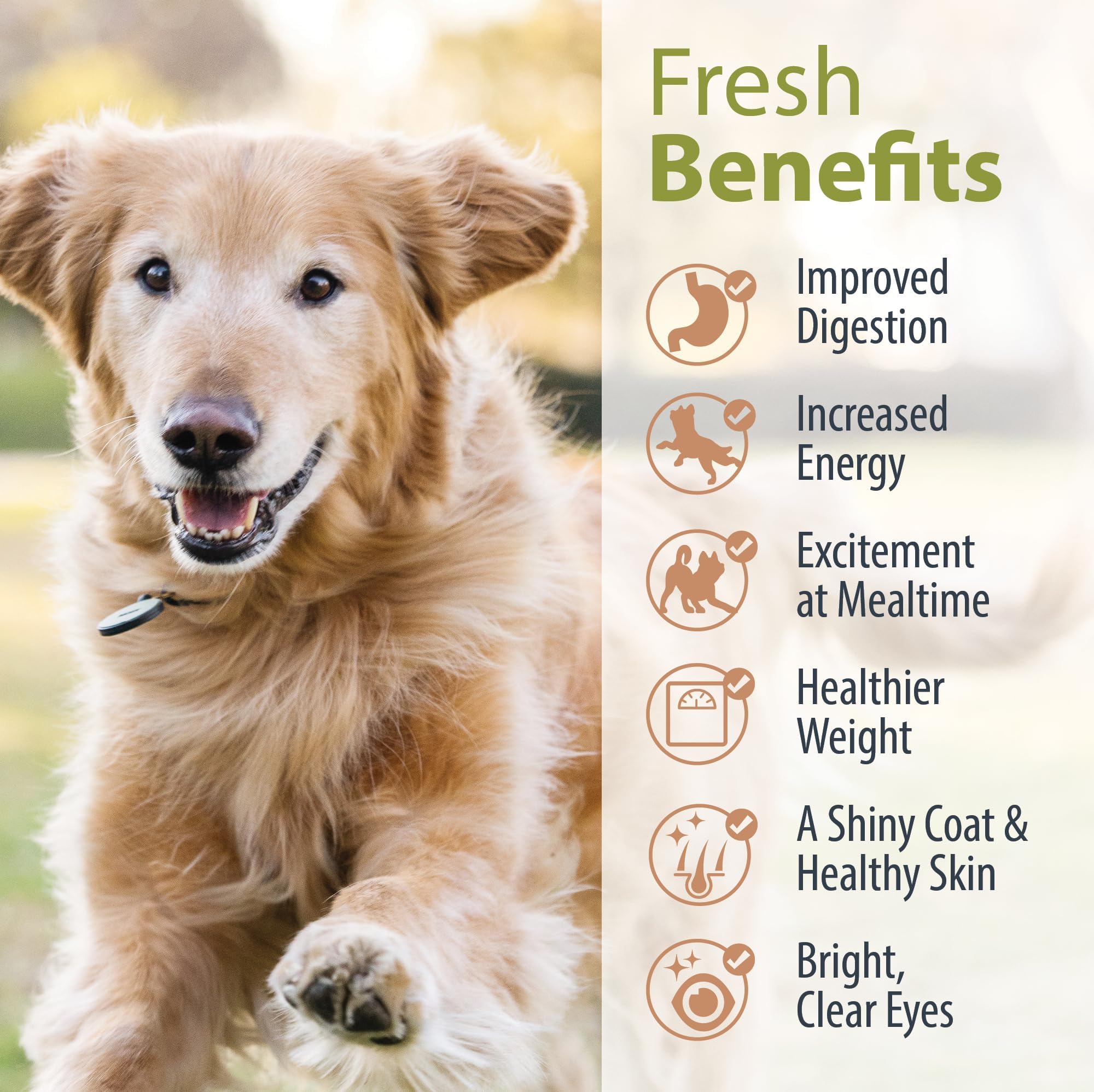 JustFoodForDogs Nutrient Blend DIY meal prep supports fresh, home-cooked dog food.