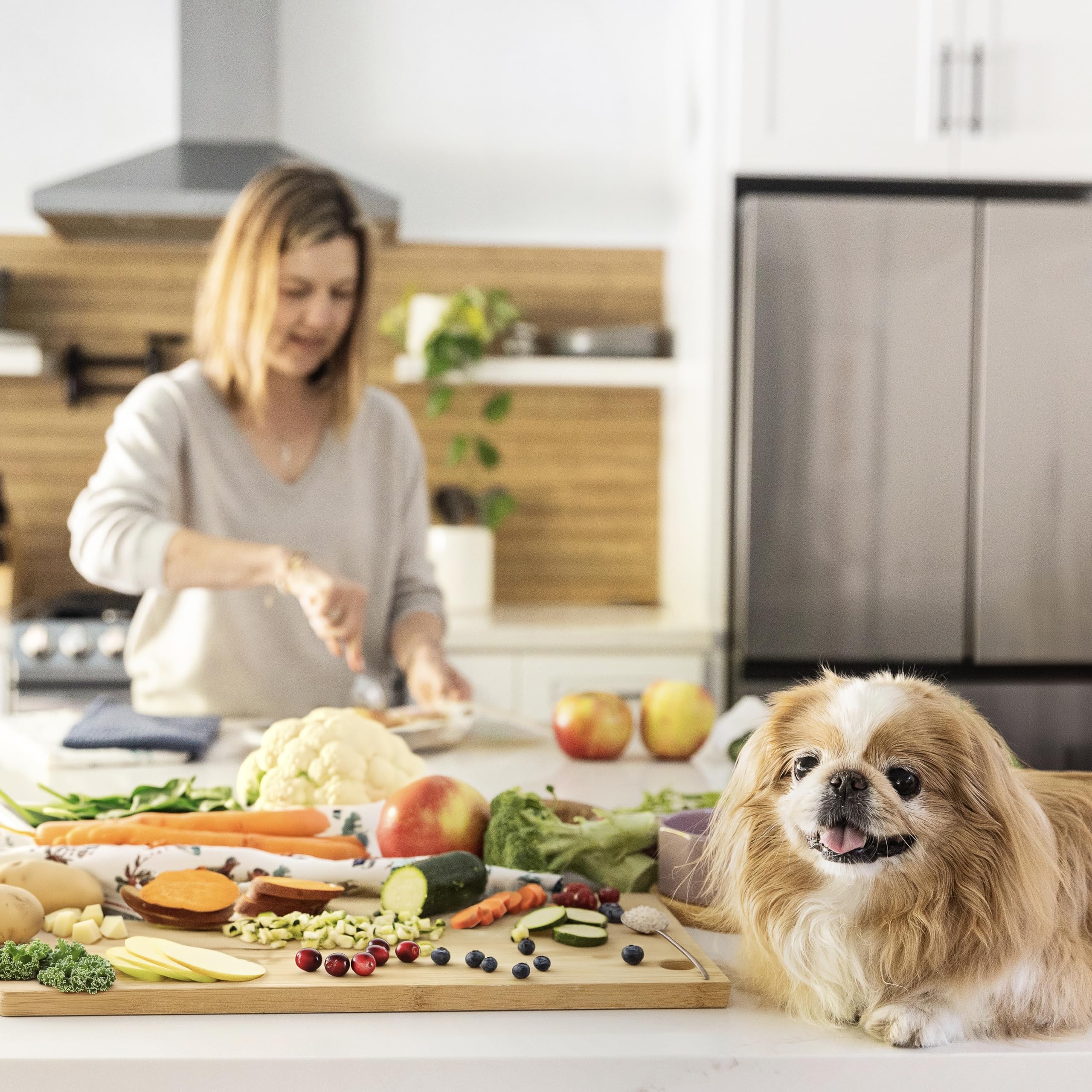 JustFoodForDogs Nutrient Blend packaging highlights the DIY kit for fresh meals.