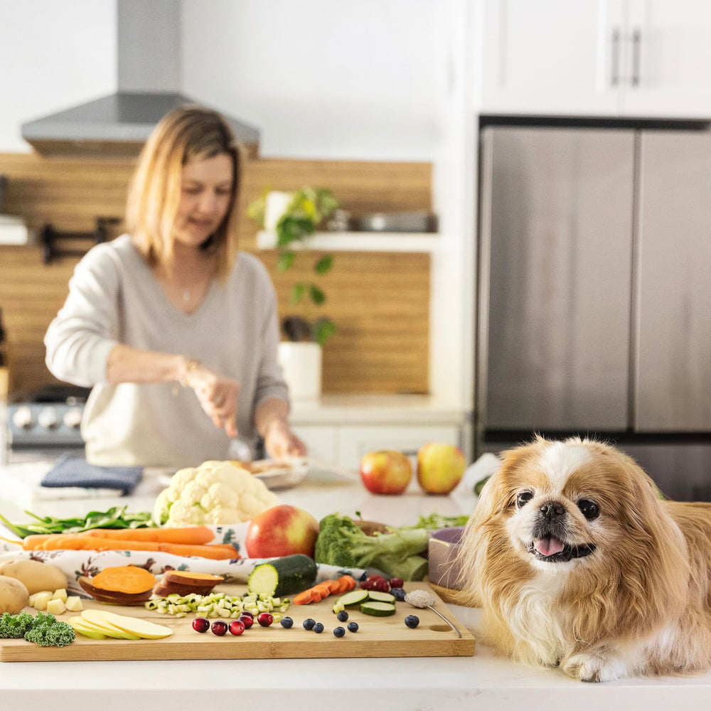 JustFoodForDogs Nutrient Blend packaging highlights the DIY kit for fresh meals.