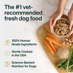 JustFoodForDogs Pantry Fresh ingredients featuring chicken and white rice for wholesome nutrition