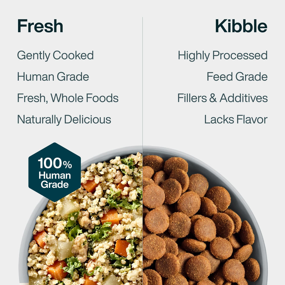 JustFoodForDogs Pantry Fresh digestibility close-up communicates potential digestive benefits