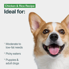 JustFoodForDogs pantry-fresh wet food in bowl highlights premium nutrition for balanced meals.