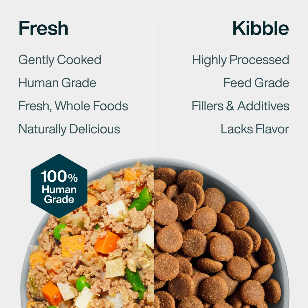 JustFoodForDogs Pantry Fresh packaging with beef and potato recipe emphasis