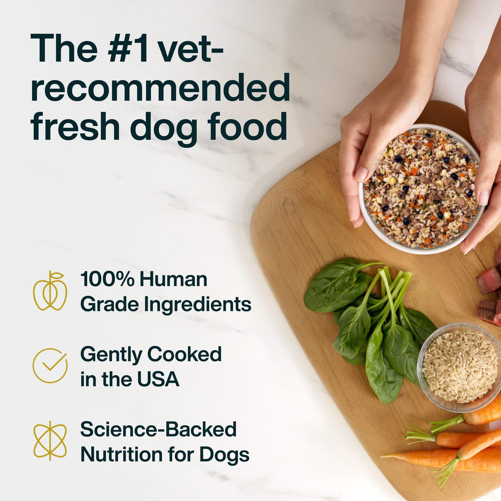 JustFoodForDogs Pantry Fresh tetra pak packaging highlights shelf-stable freshness.