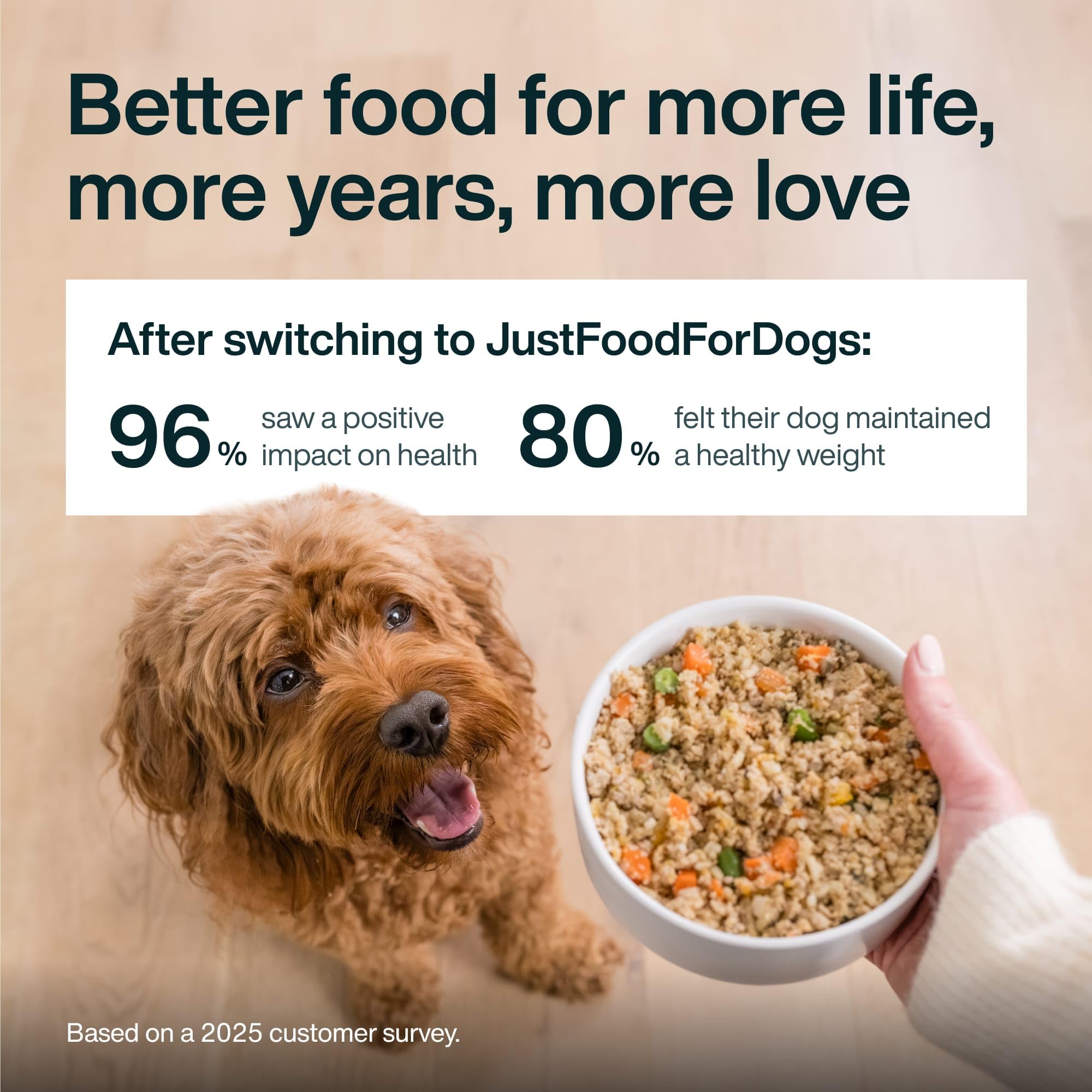 JustFoodForDogs Pantry Fresh tetra pak packaging illustrating shelf stability
