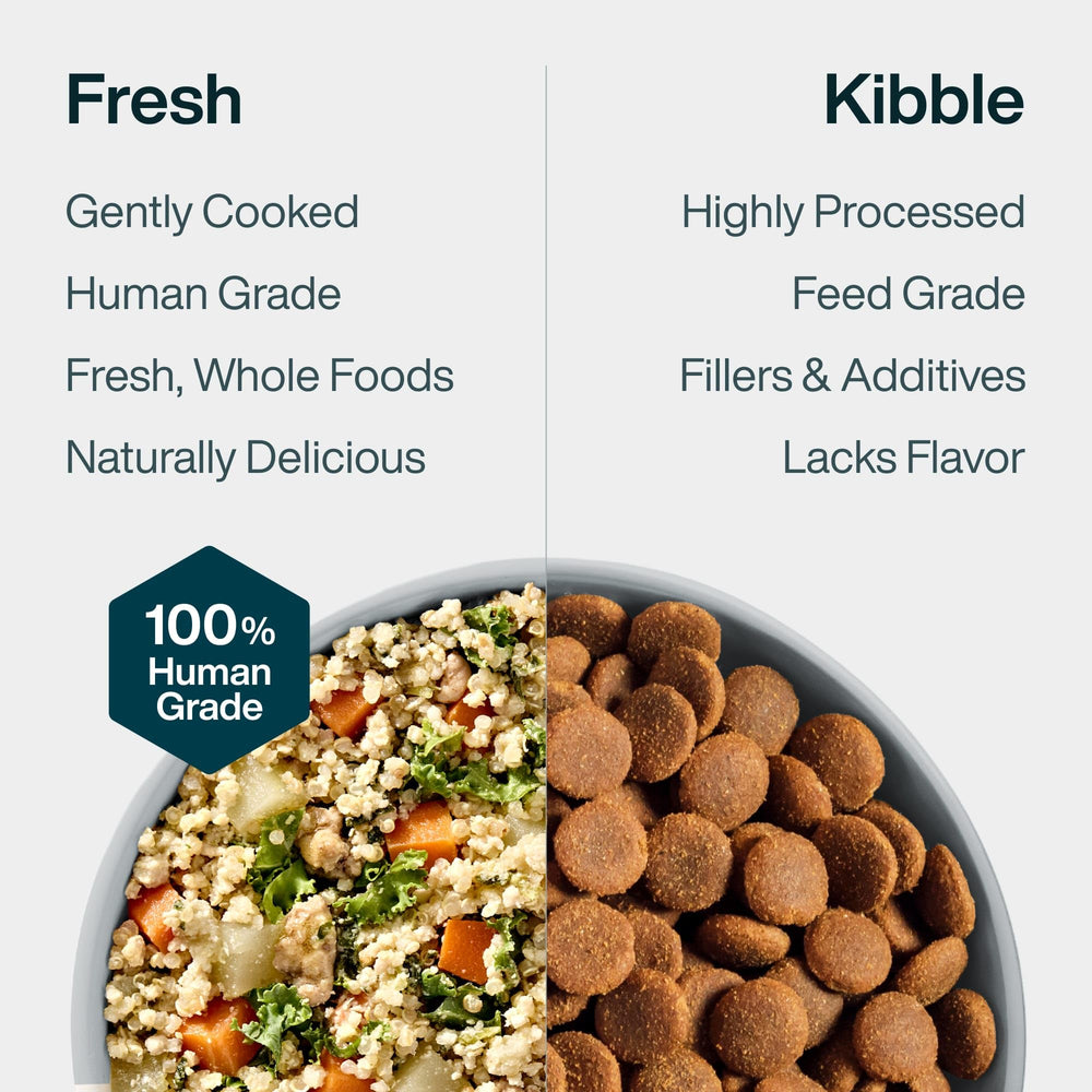 JustFoodForDogs family-friendly feeding scene shows choosing fresh diet.