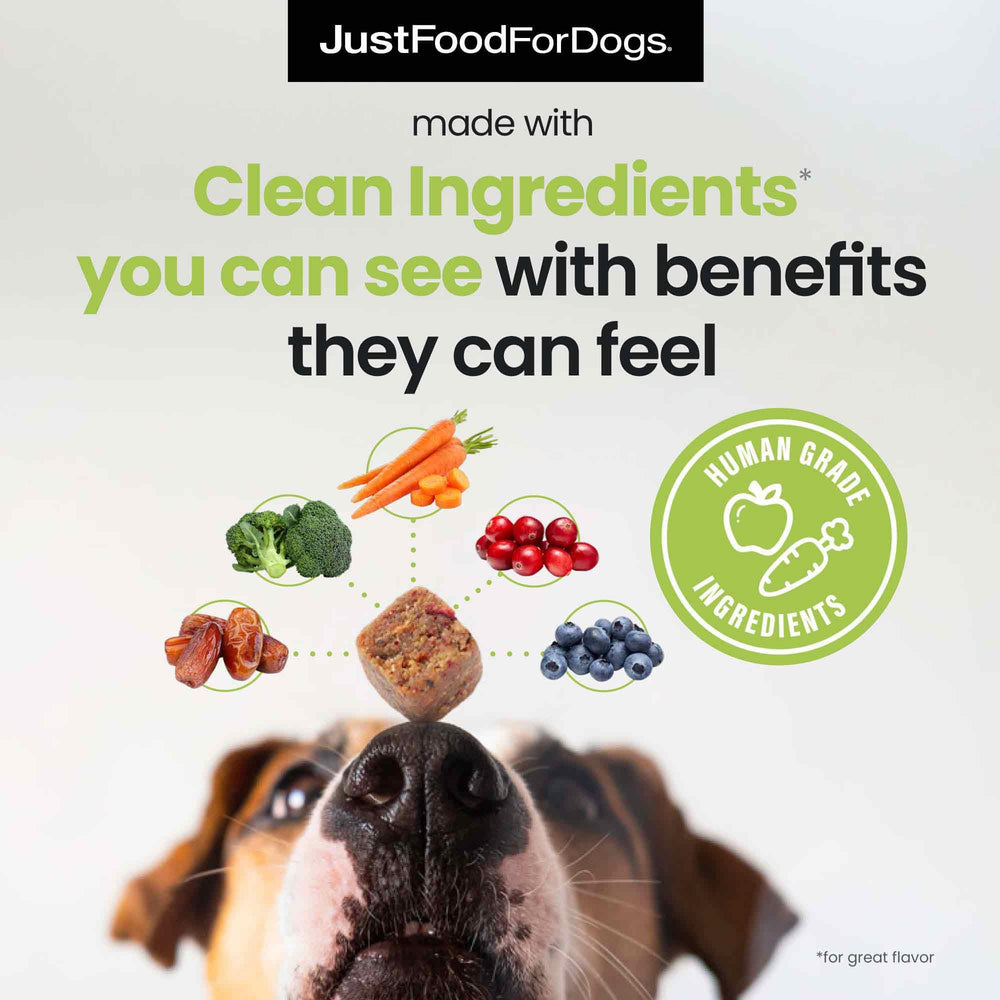 JustFoodForDogs plant-based ingredients blueberries broccoli support wholesome nutrition