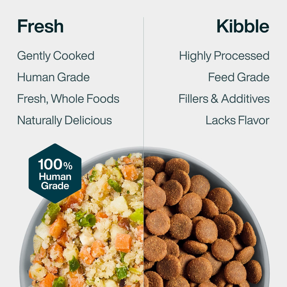 JustFoodForDogs-puppy-adult-diet features calcium and phosphorus for growing bones.