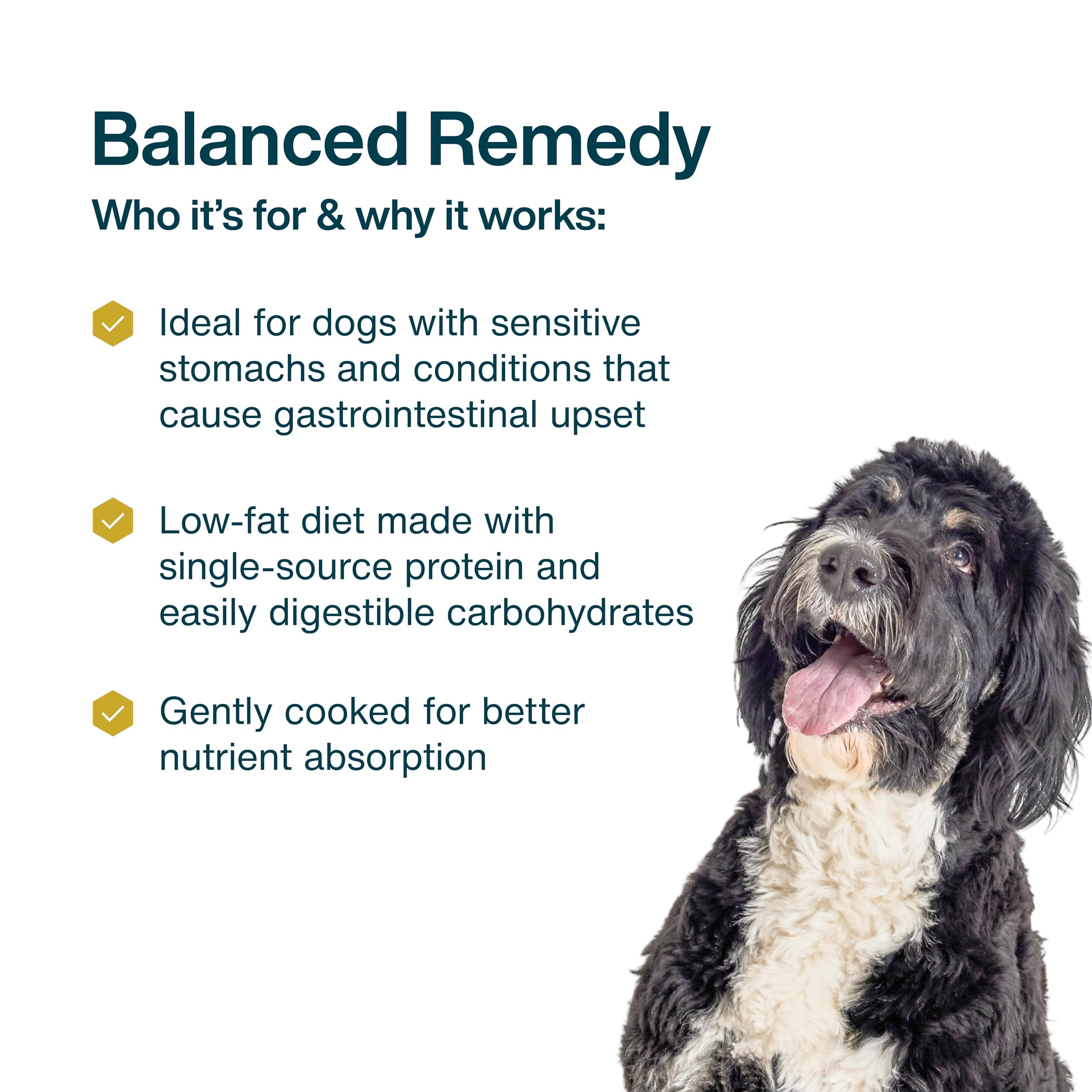 JustFoodForDogs served plate showing a balanced wet dog meal