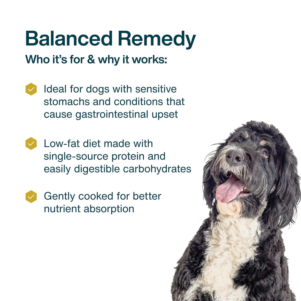JustFoodForDogs served plate showing a balanced wet dog meal