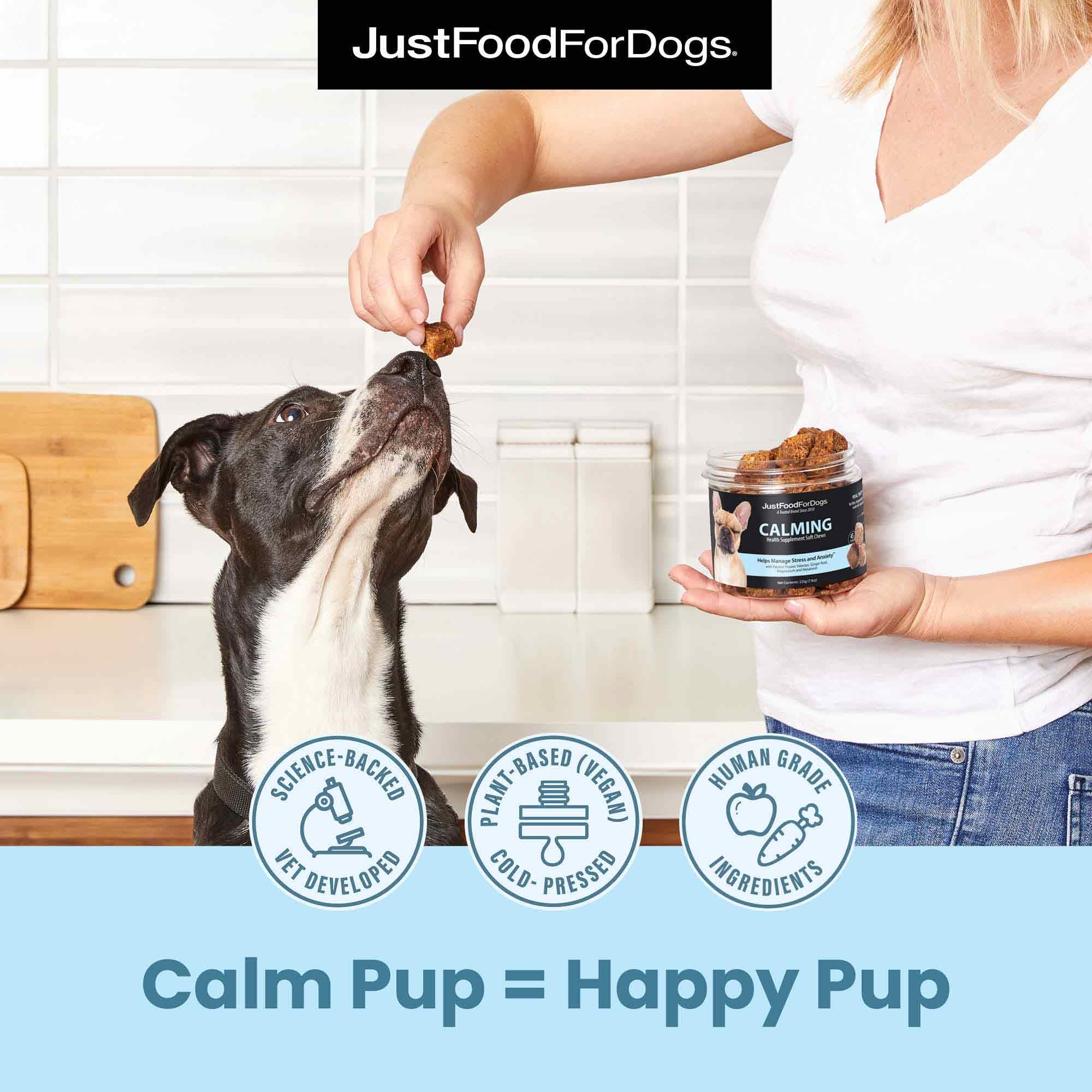 JustFoodForDogs superfood blend with blueberries and broccoli close-up for wellness.