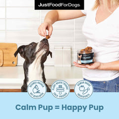 JustFoodForDogs superfood blend with blueberries and broccoli close-up for wellness.