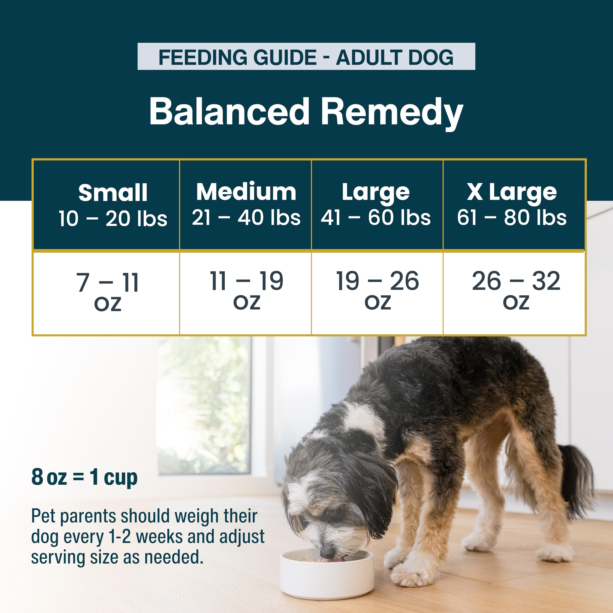 JustFoodForDogs travel-ready packaging shown for on-the-go feeding
