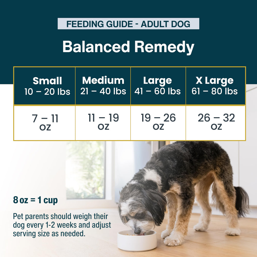 JustFoodForDogs travel-ready packaging shown for on-the-go feeding