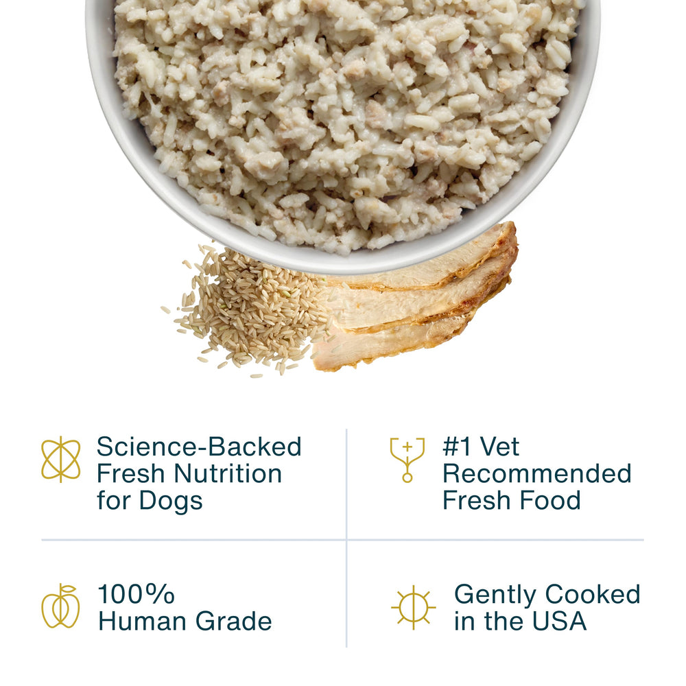 JustFoodForDogs twelve-point-five-ounce packs displayed for easy storage