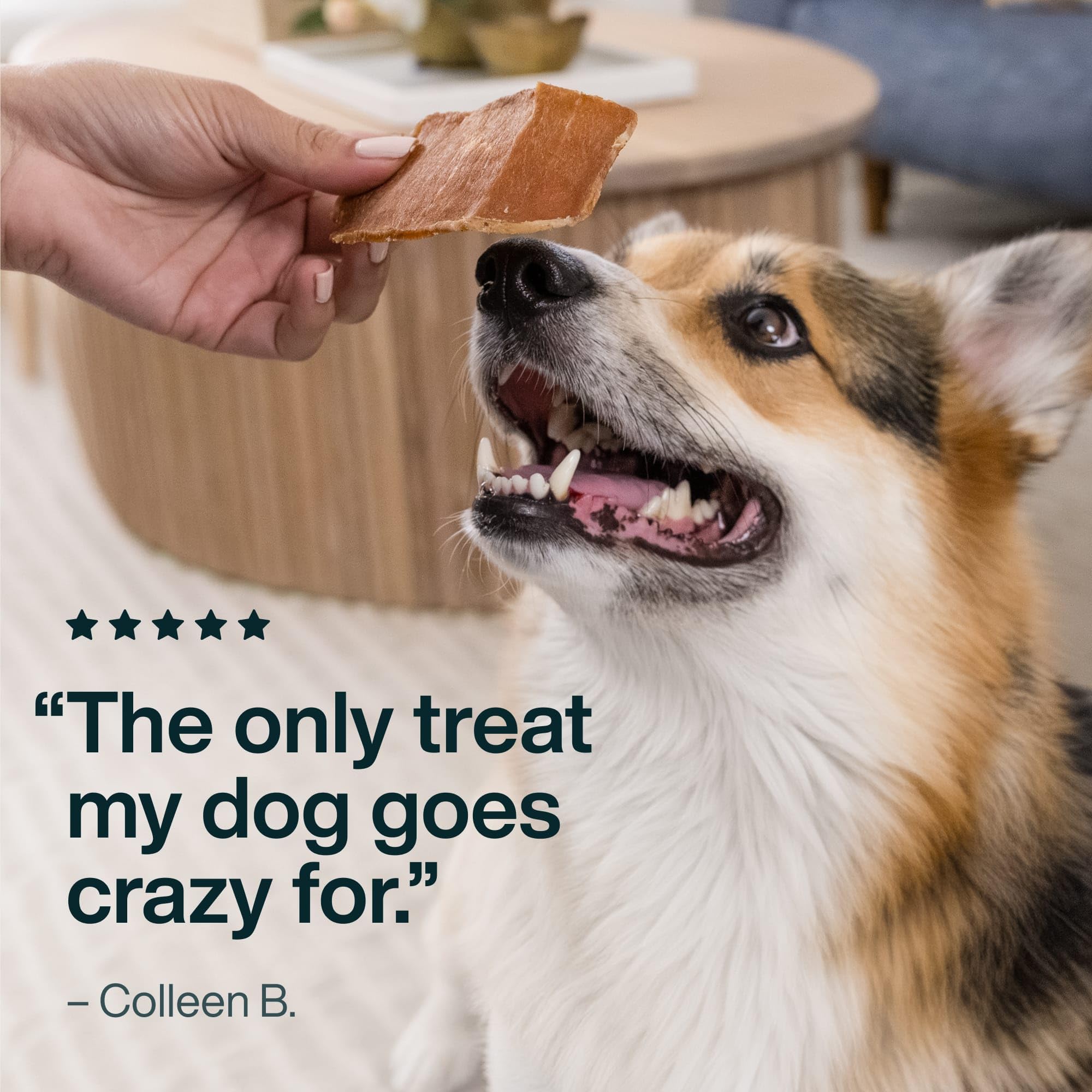 JustFoodForDogs USA-made dog treat crafted in USA kitchens for quality