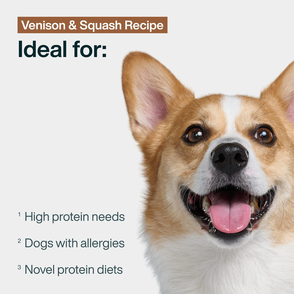 JustFoodForDogs venison-squash frozen topper entices picky eaters.