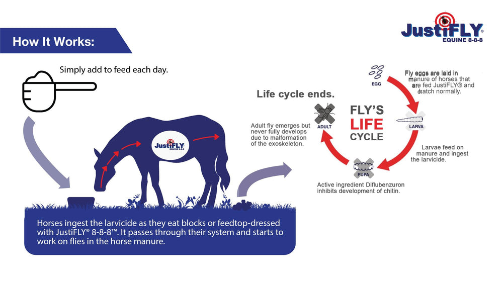 JustiFLY Equine salt-carrier visual highlights daily salt support for horses
