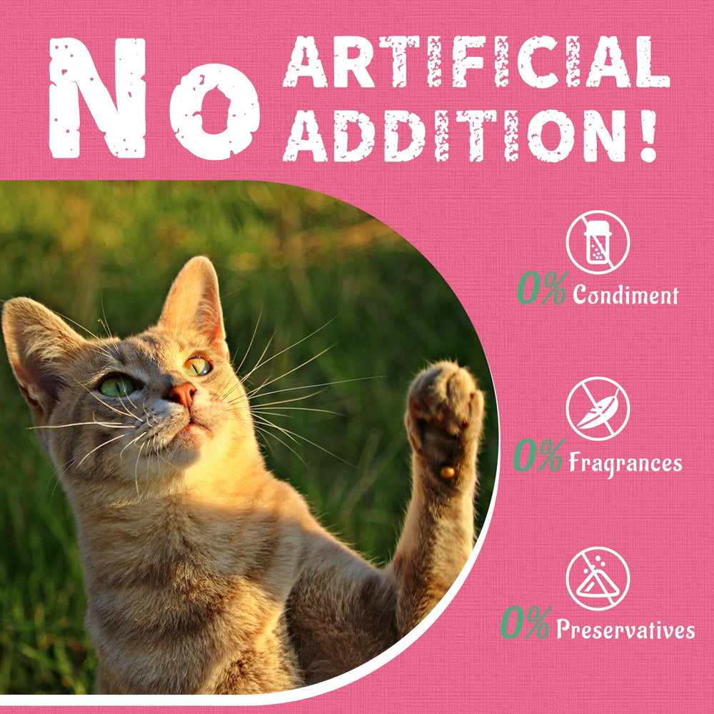 Just Try fish-shaped cat treats as training rewards