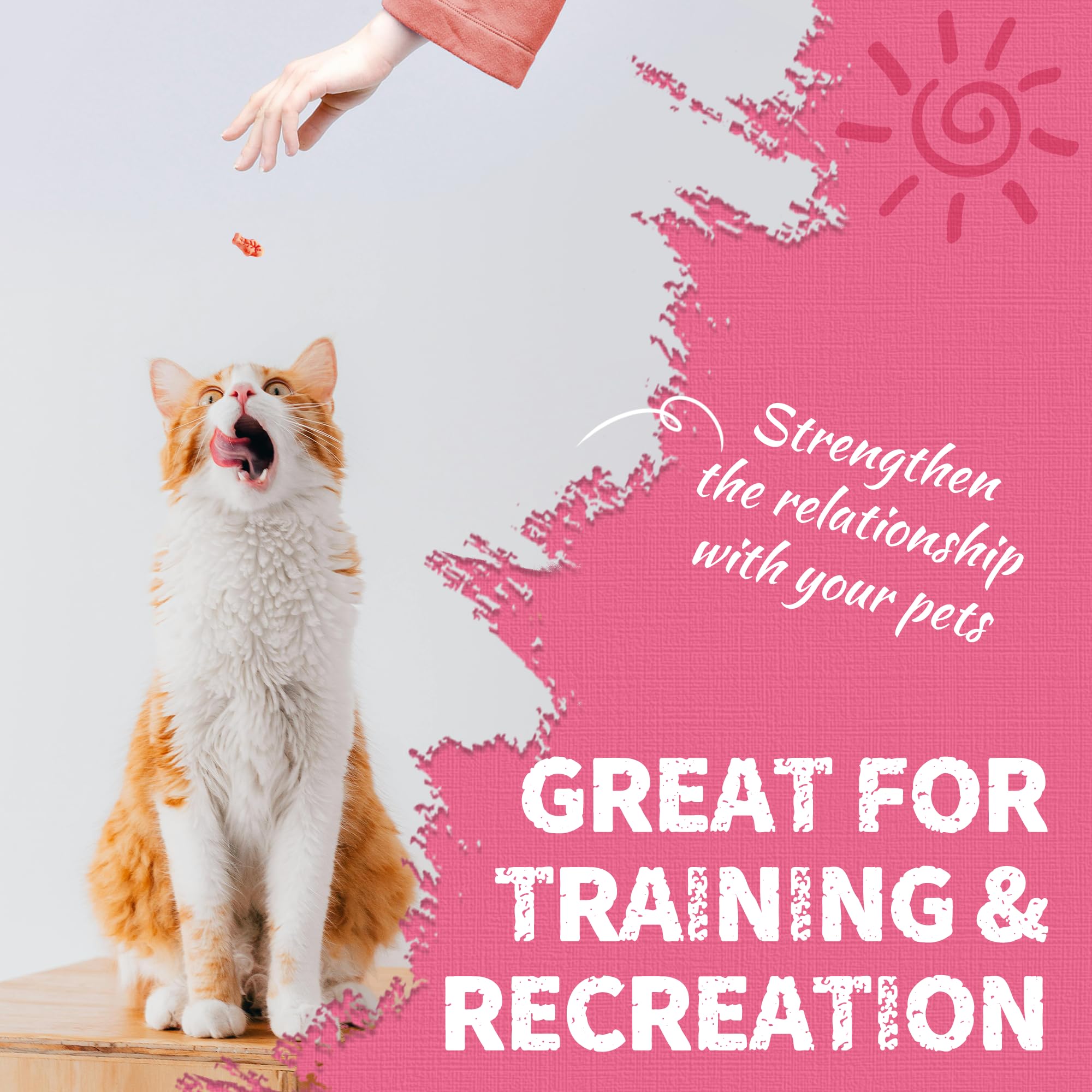 Just Try multi-cat bulk pack ideal for households with several cats