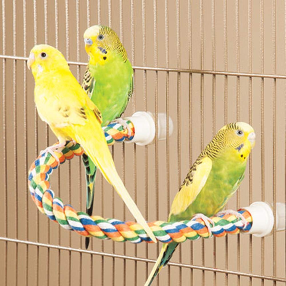 JW Pet Comfy Perch large size supports bigger birds with a secure grip.