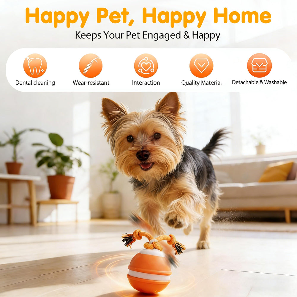 JWKPA durable, pet-safe materials designed for daily use.