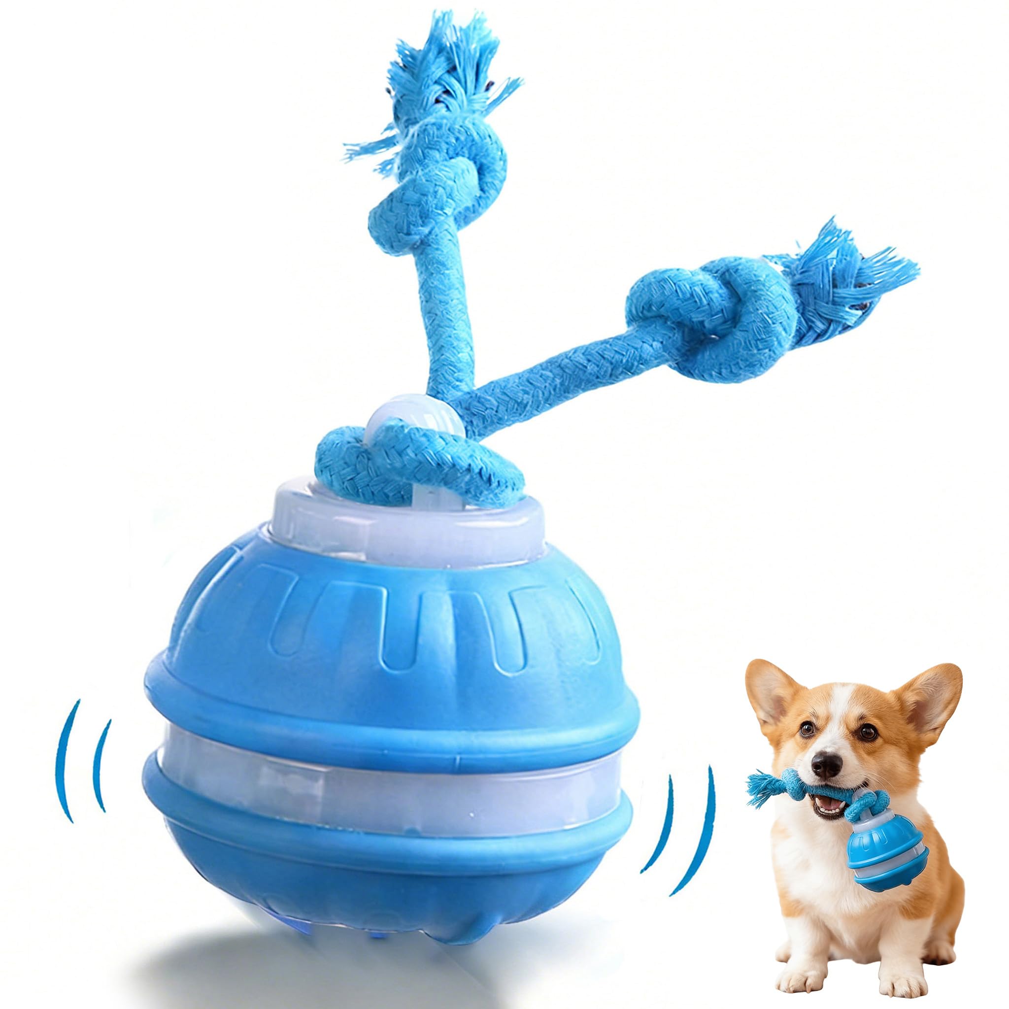 JWKPA interactive dog ball with birdsong squeaker for active play.