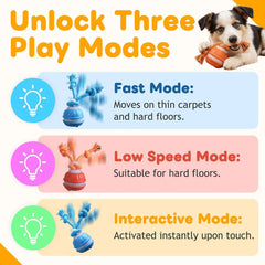 JWKPA motion-activated toy responds when your dog approaches for spontaneous fun.