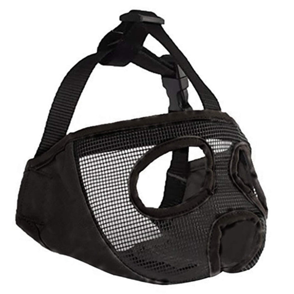 JYHY adjustable strap with quick release buckle for secure fit