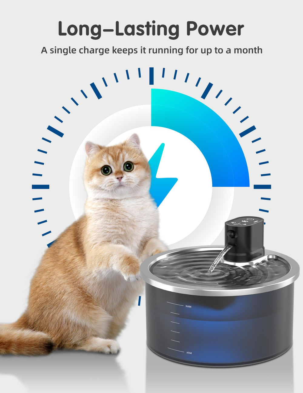 Jzla Pro kitchen and living room setup for convenient pet hydration