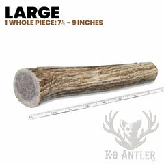 K-9 Antler Co. deer antler with marrow sealed inside for extended chew sessions.