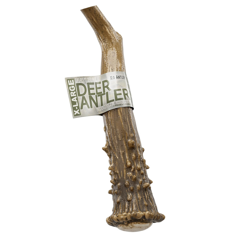 K-9 Antler Co. durable chew close-up showing dense texture