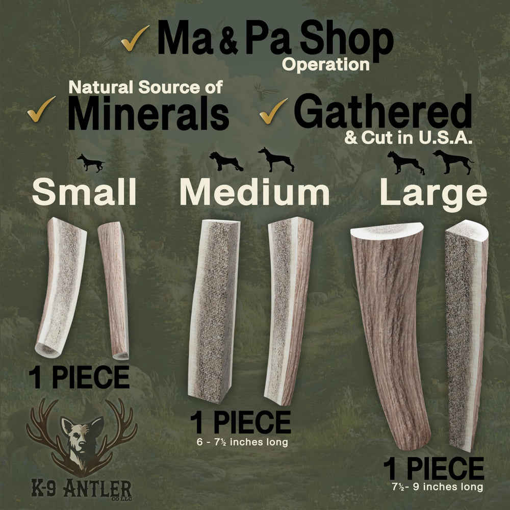 K-9 Antler Co. eco friendly cruelty free chew from naturally shed antlers for dogs.