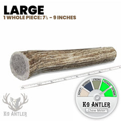 K-9 Antler Co. elk antler marrow-sealed close-up showing durable interior for chewing