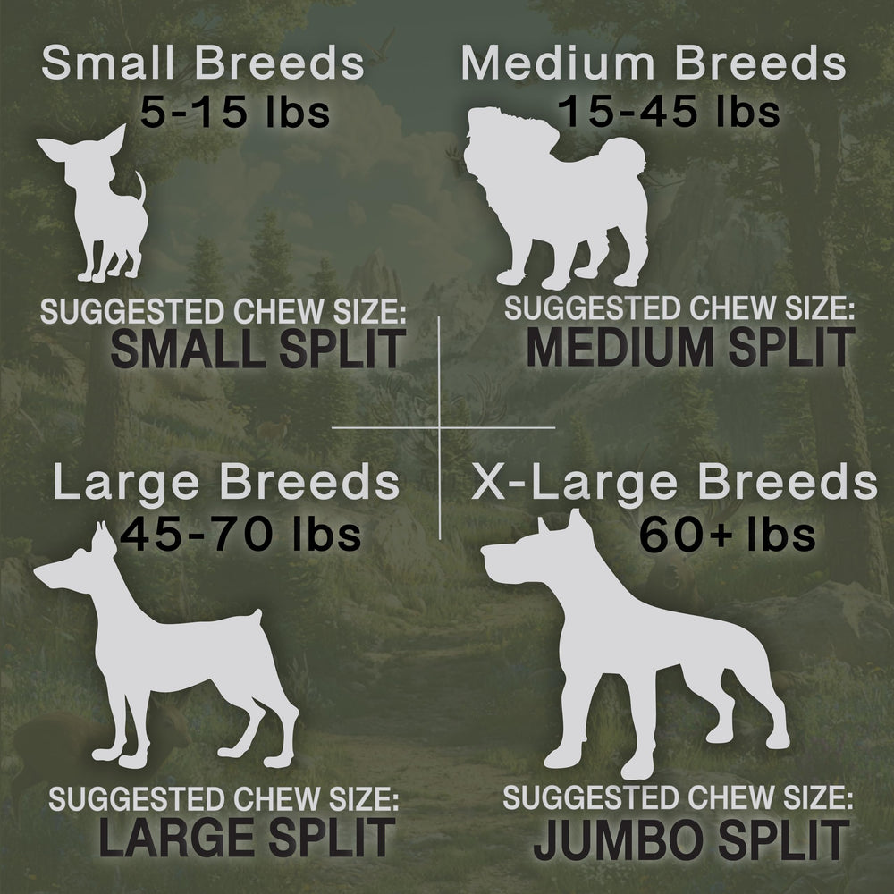 K-9 Antler Co. US-made quality check ensures safety and consistency in every chew.