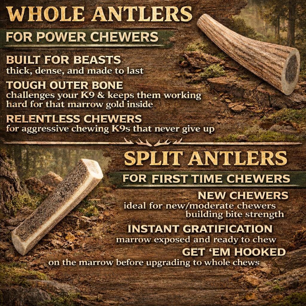 K-9 Antler Co USA-sourced elk antler with ethical harvesting symbolism.
