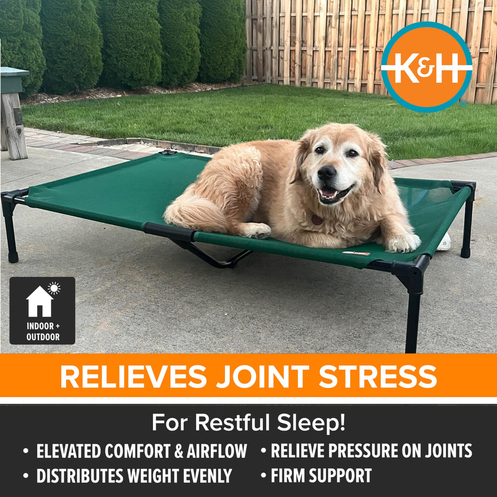 K&H bed demonstrates removable cover for easy washing after muddy paws.