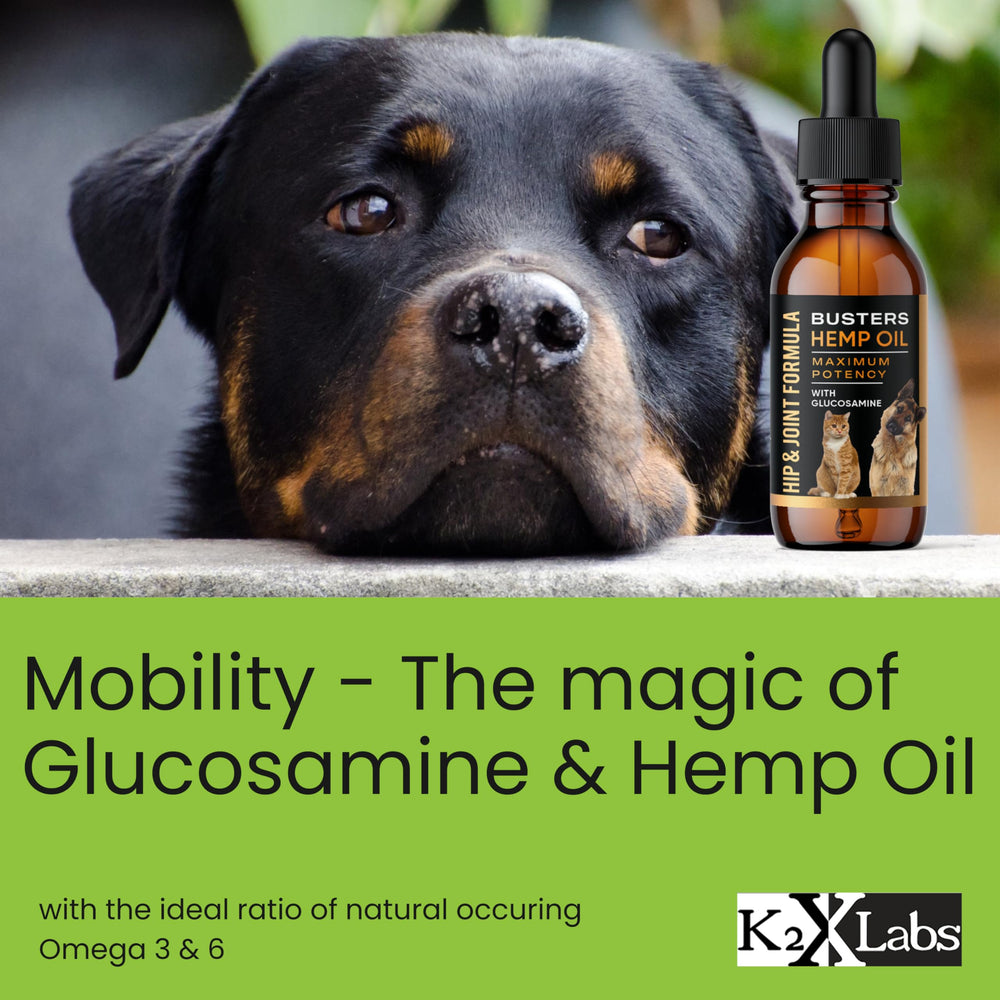 K2xLabs bacon-flavored drops make administration appealing for dogs.